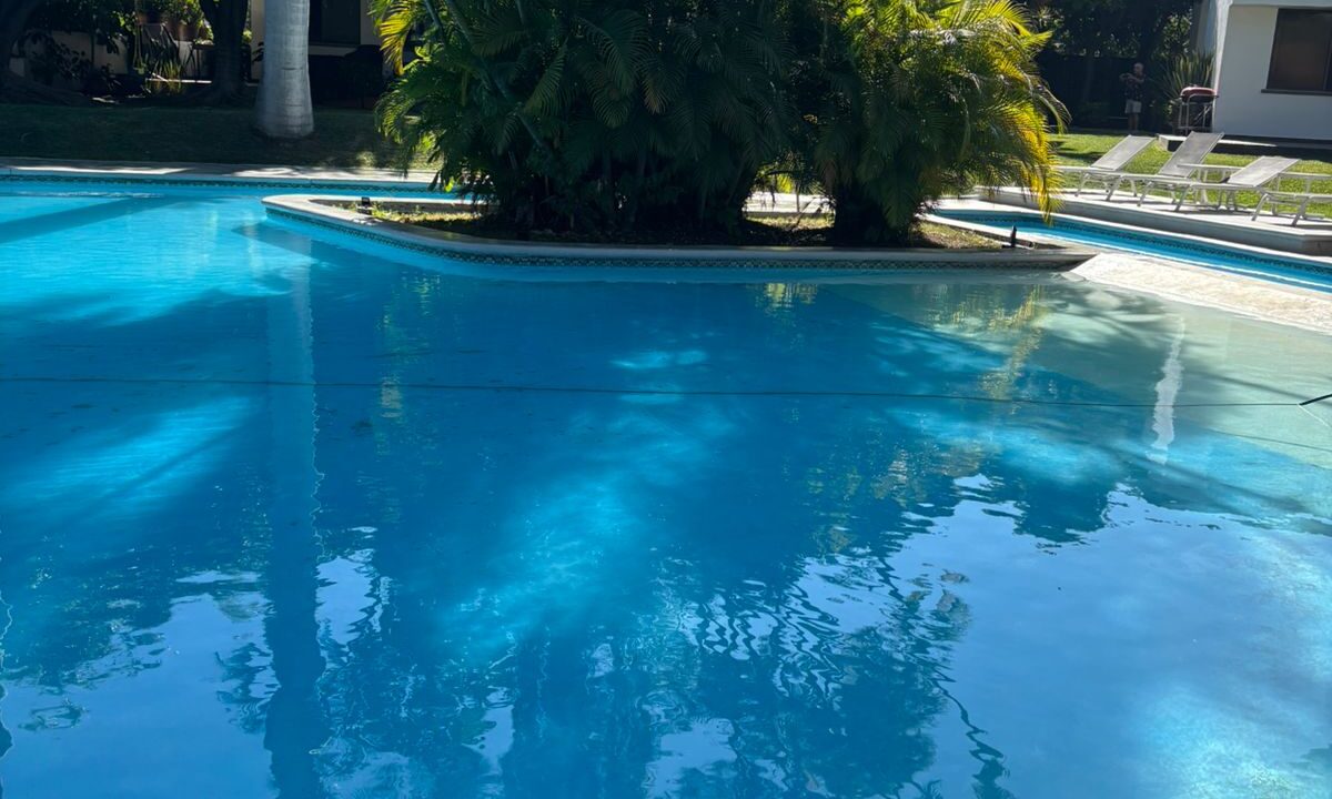 Imagen de WhatsApp 2024-12-27 a las 17.04.52_dd4bfe59